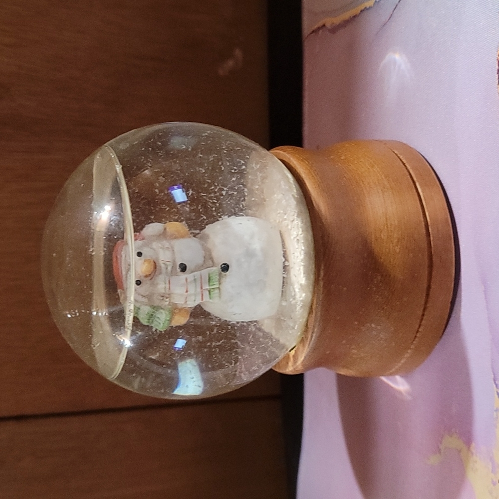 Global Art Snow globe